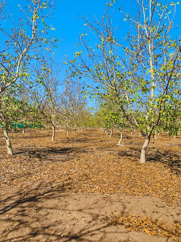 Parcela Con Pozo De Agua Propio.