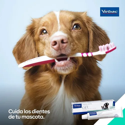 Pasta De Dientes Para Perro Y Gato Virbac Cepillo Sabor Menta