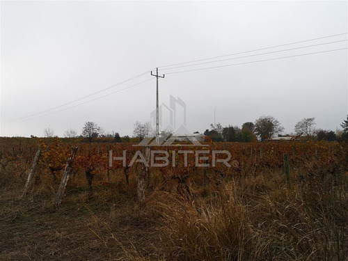 Sitio En Venta En Curicó