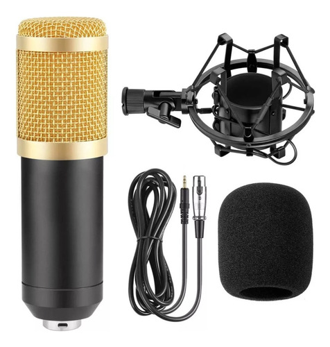 Microfone Podcast Estúdio Profissional P/gravação Bm800 Cor Dourado Dourado