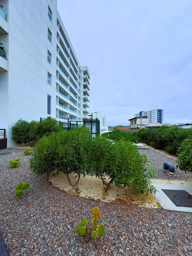 ¡ideal Para Inversión O Disfrutar De La Playa (91170)