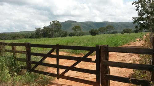 Fazenda De Gado Arinos Mg 2.250 Hectares 65.000,000,00 - 38491