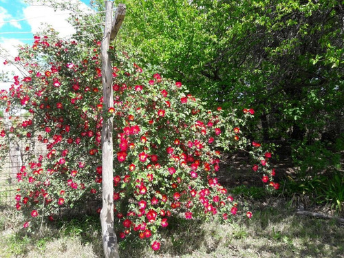 Imagen 6 de 30 de Venta - Finca - Cañada Seca Retasada