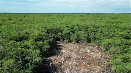 Terrenos De Inversión En Yaxkukul