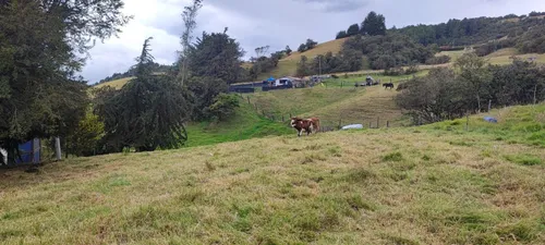 Lote En Venta En El Rodeo. Cod V16825