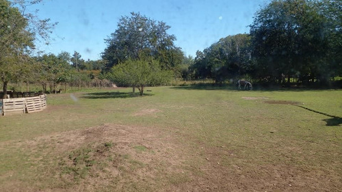 Imagen 2 de 8 de Quinta En Venta En Burzaco