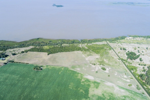 Imagen 2 de 16 de Campos Venta Carmelo Sobre Río De La Plata