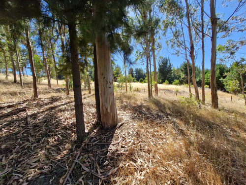 Parcela Ideal Para Cultivo Y Descanso (132446)