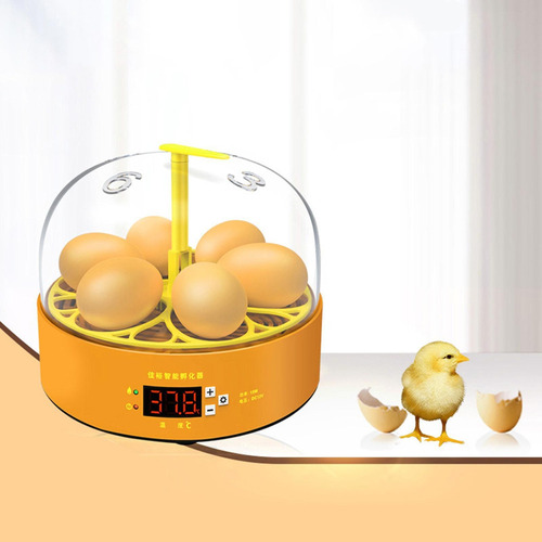 Mini Chocadeira De Ovos Com Giro Automático