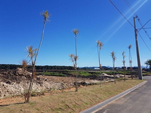 Imagem 14 de 17 de Terreno No Colegio Agricola Com 0 Quartos Para Venda, 240 M² - Ft1290