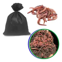 Comprar 400 Minhocas Californianas Compostagem Pesca Hortas Húmus
