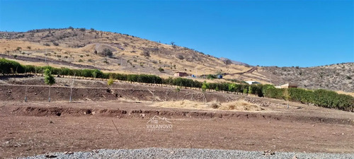 ¡baja De Precio¡. Sitio En Venta Cercado Y Riego Automát.