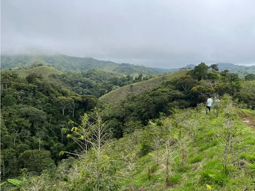 Venta De Finca En Vereda Paramillo, Fresno, Tolima