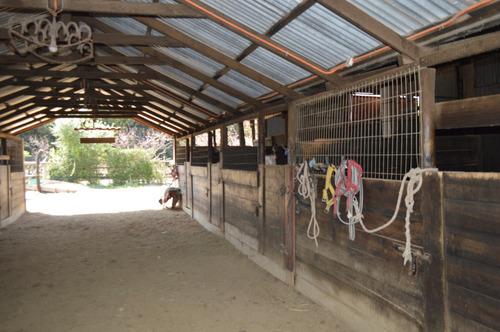 Parcela Con Pesebreras Y Bodega - Palomar, Panquehue