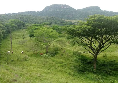Vendo Lotes En La Pintada Con Vista A Farallones Desde 2.703 M²