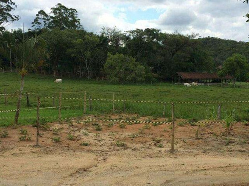 Imagem 15 de 29 de Excelente Chacara Em Camboríú. 100% Plana.lagos De Peixes - Dv019 - 3092046