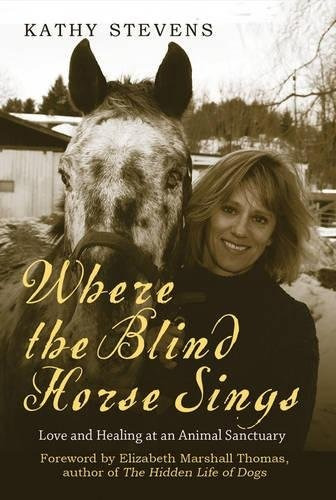 Where The Blind Horse Sings Love And Healing At An Animal Sa