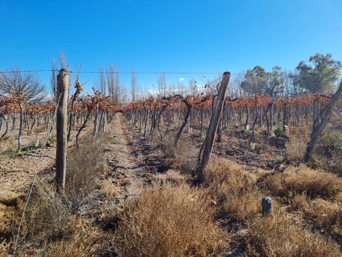 Imagen 6 de 20 de 41 Ha Ruta 15 (zona Bodegas)