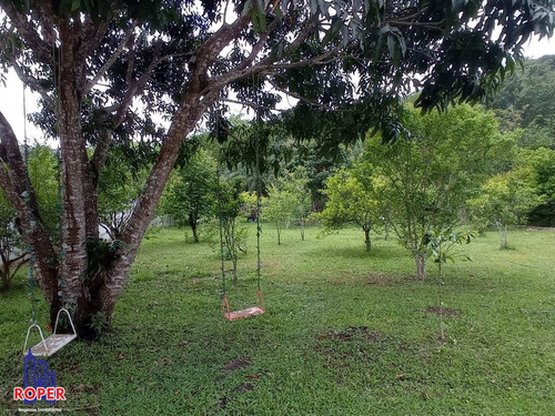 Imagem 17 de 29 de Excelente Chácara De 2.000 Com Fundos Para O Rio À Venda Em Guararema. - Ch01041 - 70731159