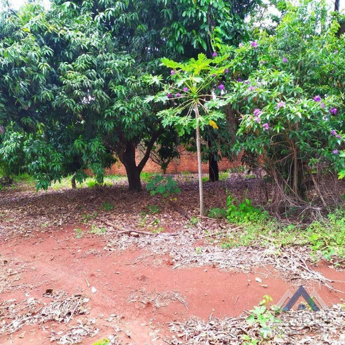 Chácara Com 2 Dormitórios À Venda, 5005 M² Por R$ 470.000,00 - Dom Pedro I - Londrina/pr - Ch0158