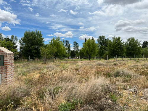 Imagen 7 de 11 de Venta Terreno 600 Mts Las Catalpas