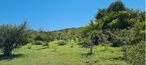 Imagen 21 de 29 de Venta Campo Falda Del Cañete-8,5 Has- Con Vista