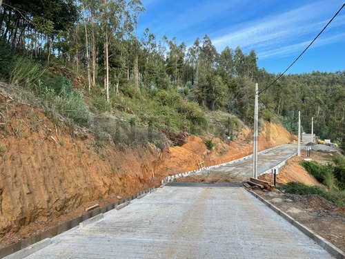 Terrenos Exclusivos Urbanizados En Un Entorno Natural A M...