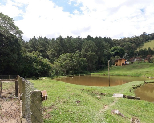 Imagem 5 de 30 de Fazenda Bem Localizada À Venda Em Juquitiba. - 15 - 32982853