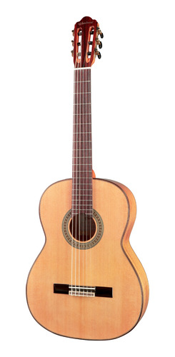 Guitarra Woodsoul Villamiel