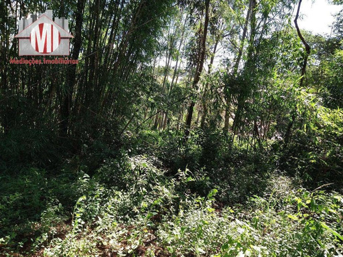 Chácara Com Excelente Terreno, Pomar, Riacho, Pertinho Da Cidade Com 02 Dormitórios À Venda, 12000 M² Por R$ 240.000 - Pedra Bela - Pedra Bela/sp - Ch0666