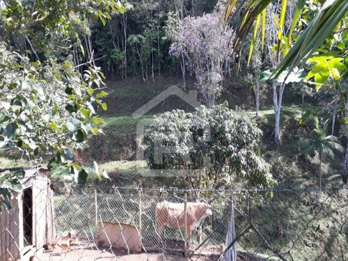 Imagem 6 de 26 de Chácara Com Lago Em Juquitiba - 239 - 70330798