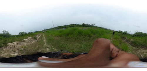 Venta Rancho 109 Has Autopista A Tampico En Tamiahua Veracruz
