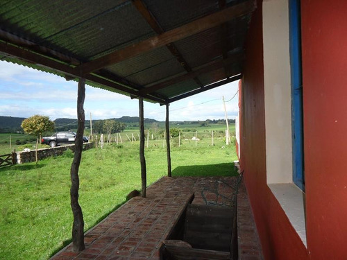 Campo En Venta En Lavalleja. 37 Hectáreas.