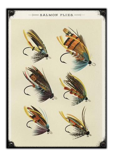 #944 - Cuadro Decorativo Vintage - Señuelos Pesca Mosca Rio