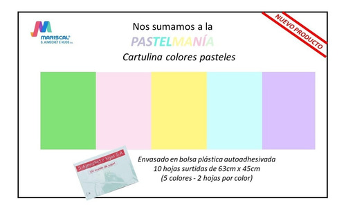 Cartulina Escolar Colores Pastel 45x63 X  10u Surtidos