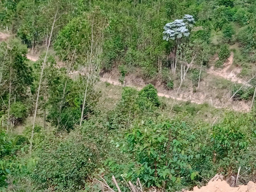 Imagem 11 de 12 de Pj* Proprietário Com Lotes Excelentes Com Vista Para Área Verde Confira *