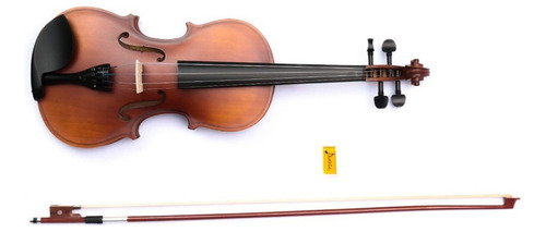 Violín 4-4 Acústico Profesional Madera Estuche Y Accesorios
