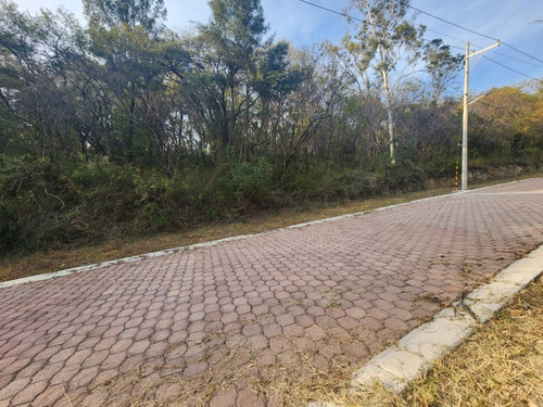 Venta Lote Gladiola 35 En Nueva Zona Del Fraccionamiento Con Bonitas Vistas, Todos Los Servicios Y Proyecto Incluído En Rancho San Diego Ixtapan De La Sal Edomex