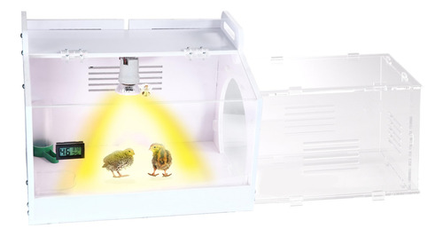 Caja De Criadores De Pollos Iarge-scale Incubadora De Huevos