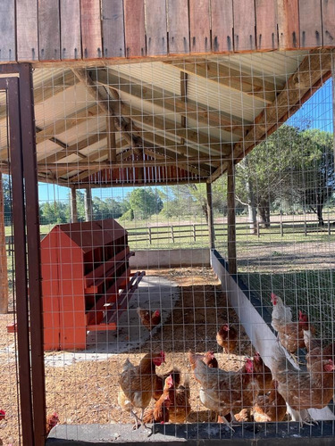 Imagen 12 de 16 de Venta! Terrenos En Nuevo Barrio Privado En La Barra