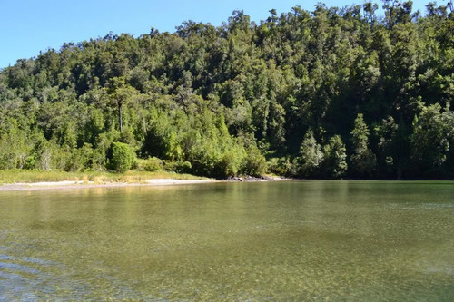 Sitio En Puerto Gato, Zona De Preservacion