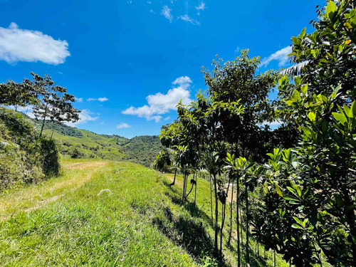 Venta Lote En San Roque, Antioquia 