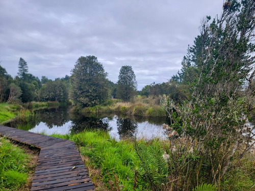 Preciosa Parcela Con Bosque De Robles Y Vista A Lagunas