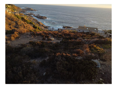 Imagen 3 de 7 de Sitio En Venta En Zapallar Norte