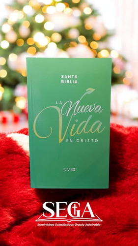 Biblia Económica Con Curso De Discipulado Nvi
