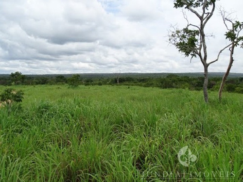 Imagem 12 de 30 de Vendo Ótima Fazenda Com 2337,00 Ha Em Buritizeiro, Norte De Minas Gerais, Gado E Cultura, Muita Água, Toda Formada. Documentação Ok. - Fa00004 - 4483814