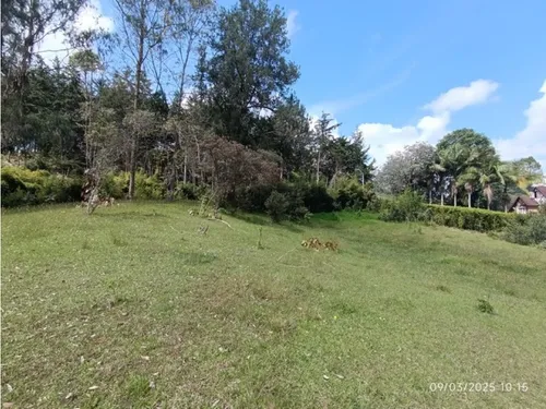 Vendo Lote En Llano Grande Vereda Cabeceras De 6.307 M² Sobre Vía