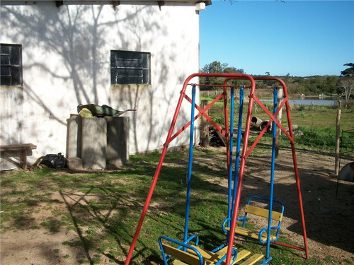 Imagem 8 de 30 de Sítio Rural À Venda, Lami, Porto Alegre. - Si0006