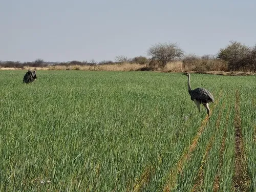Campo Agrícola En Venta En Tucumán Ideal Para Caña De Azúcar