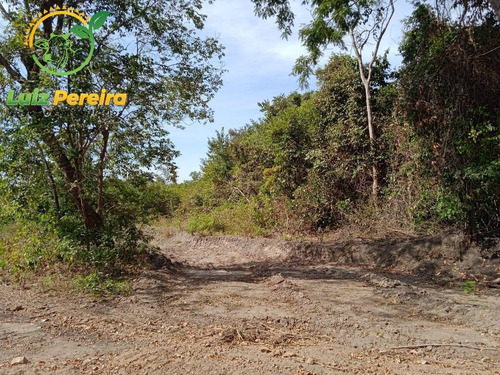 Imagem 2 de 15 de Fazenda À Venda Em São Valério - To - De 223 Alqueirões (pecuária) - 1821